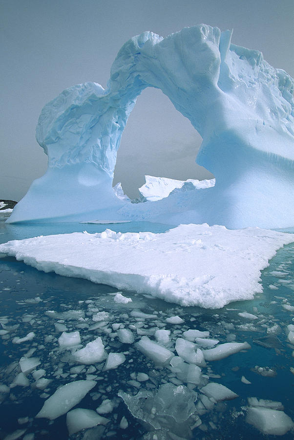 Arched Iceberg Antarctica Photograph by Colin Monteath