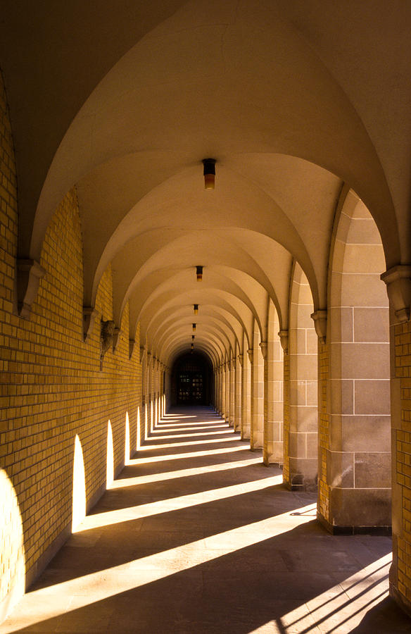 Architecture Photograph - Arches - University of Toronto by Harry Cartner