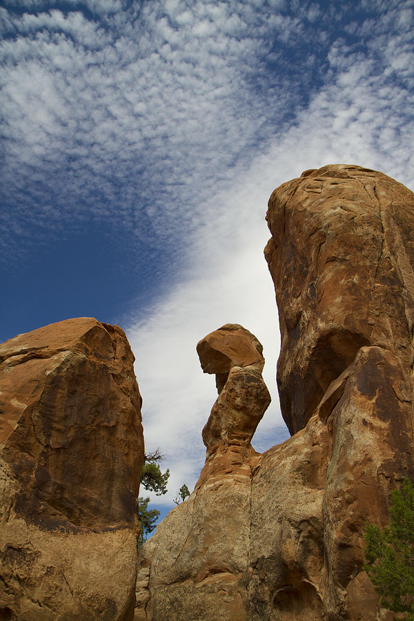 Arches National Park Photograph - Arches 48 by Tom Kelly