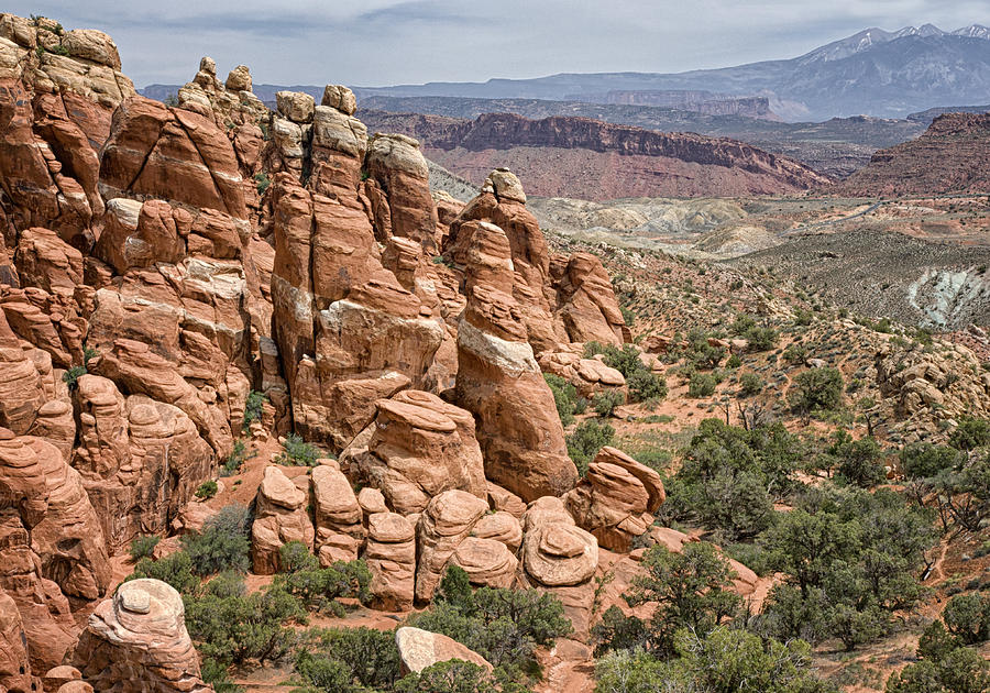Arches National Park Photograph by Betty Depee