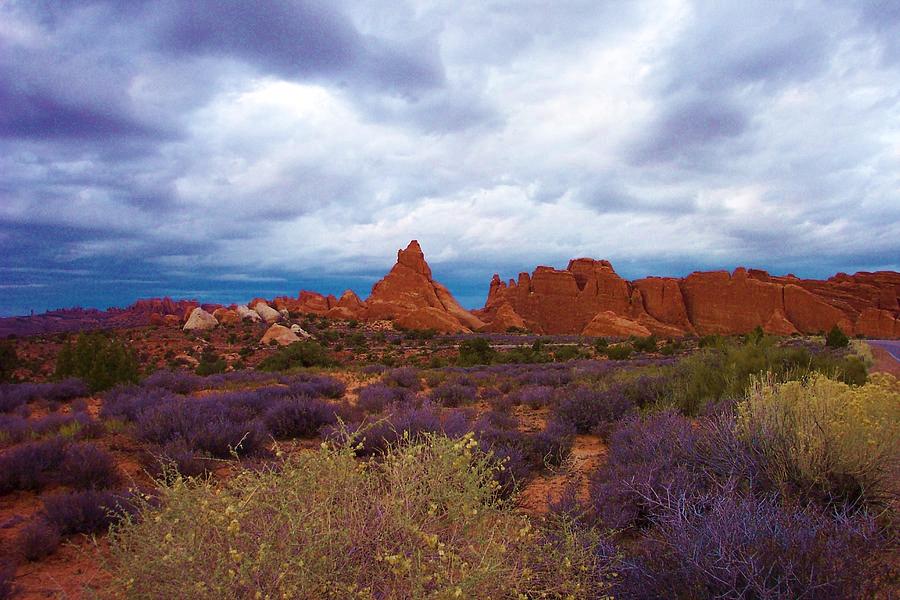 Arches National Park Landscape on a Cloudy Day Photograph by Lanita Williams