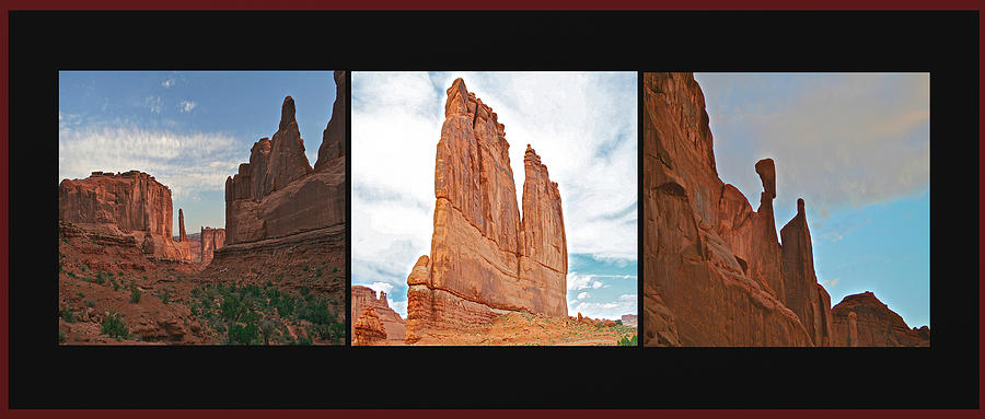 Arches National Park Panel Photograph by SC Heffner