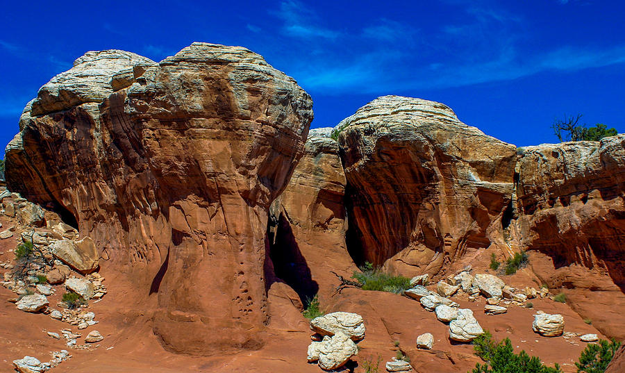 Arches National Park Photograph by Tommy Farnsworth