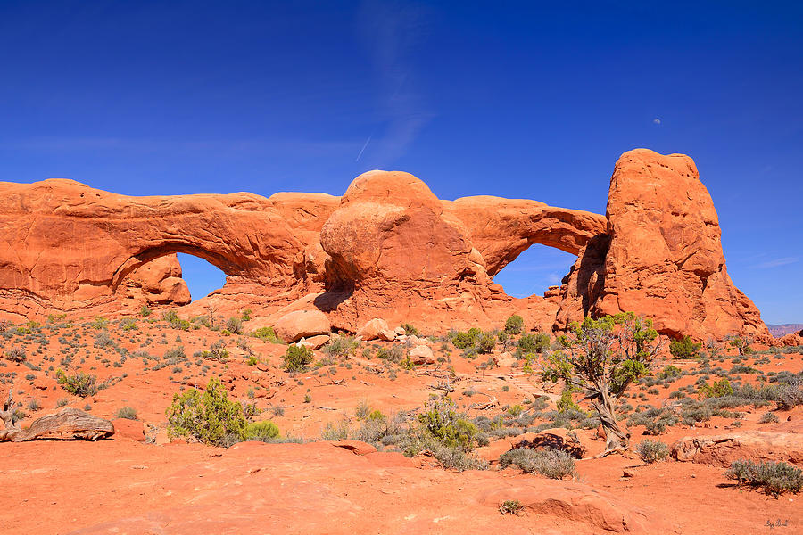 Arches National Park Photograph - Arches Windows by Greg Norrell