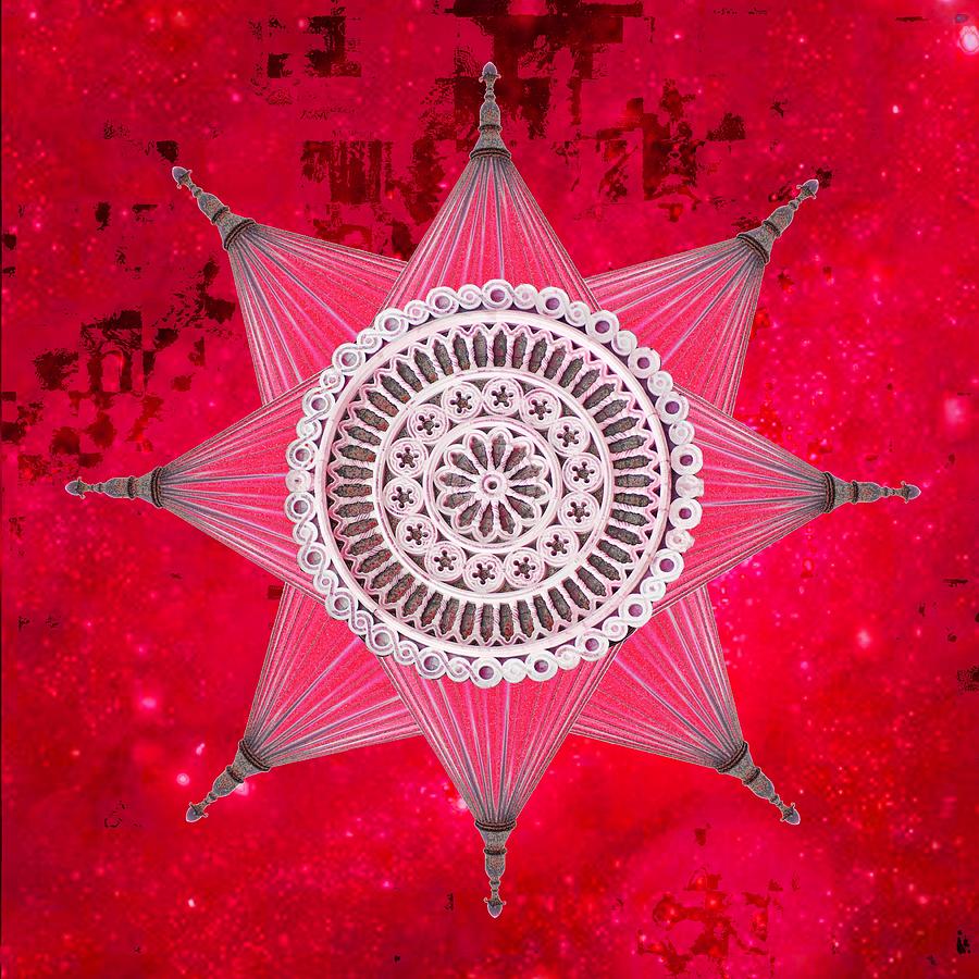 Red Victorian Star  Photograph by Suzanne Powers