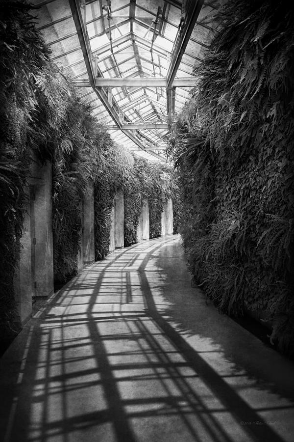 Architecture - The unchosen path - BW Photograph by Mike Savad