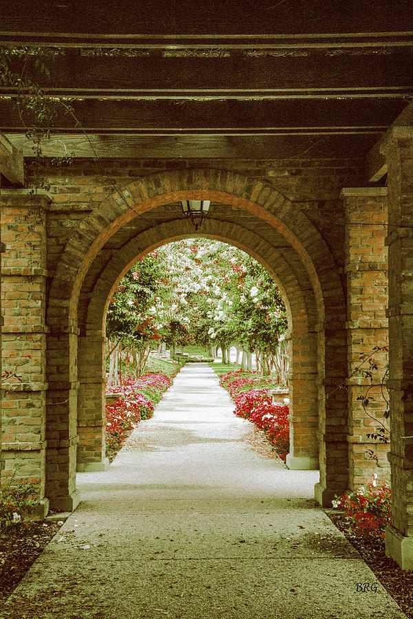 Archway And Blooming Trees Photograph by Ben and Raisa Gertsberg