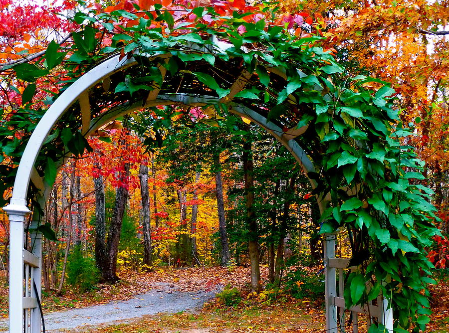 Archway to Autumn Photograph by Jean Wright - Fine Art America