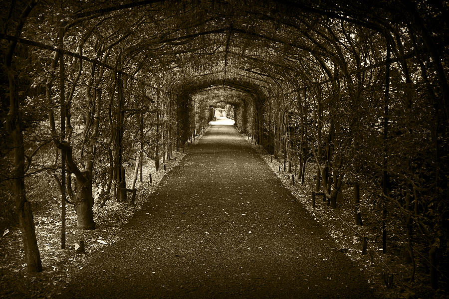 Archway to Maze Photograph by Maj Seda