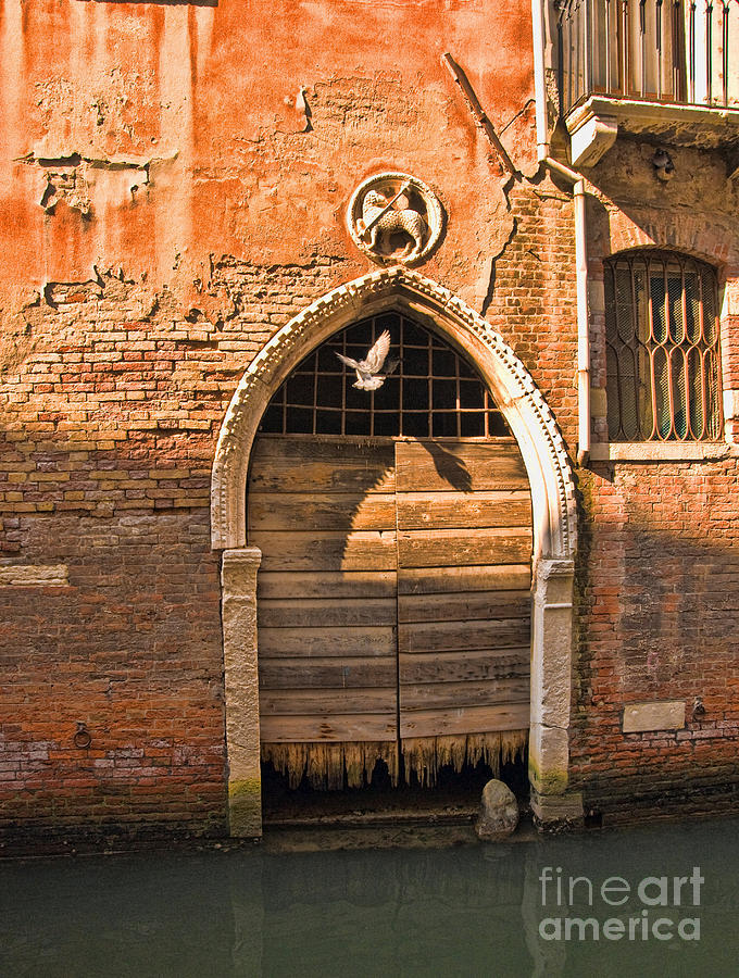 Archway with bird in Venice Photograph by Sheila Laurens