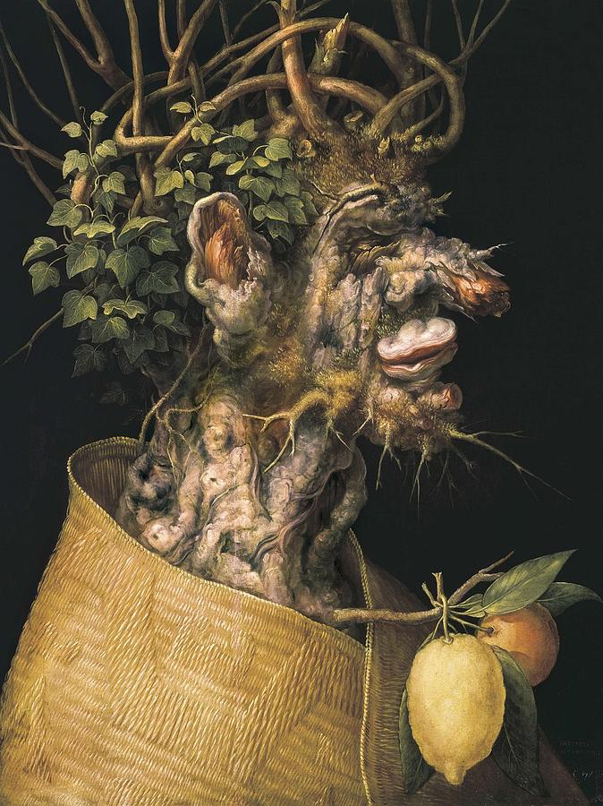 Arcimboldo, Giuseppe 15271593. Winter Photograph by Everett