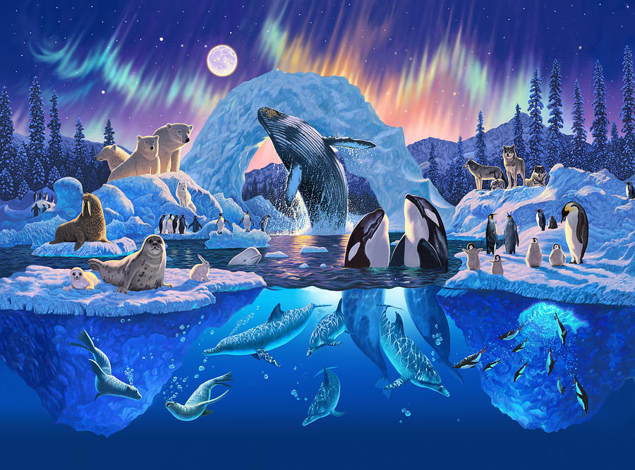 Animal Photograph - Arctic Harmony by MGL Meiklejohn Graphics Licensing