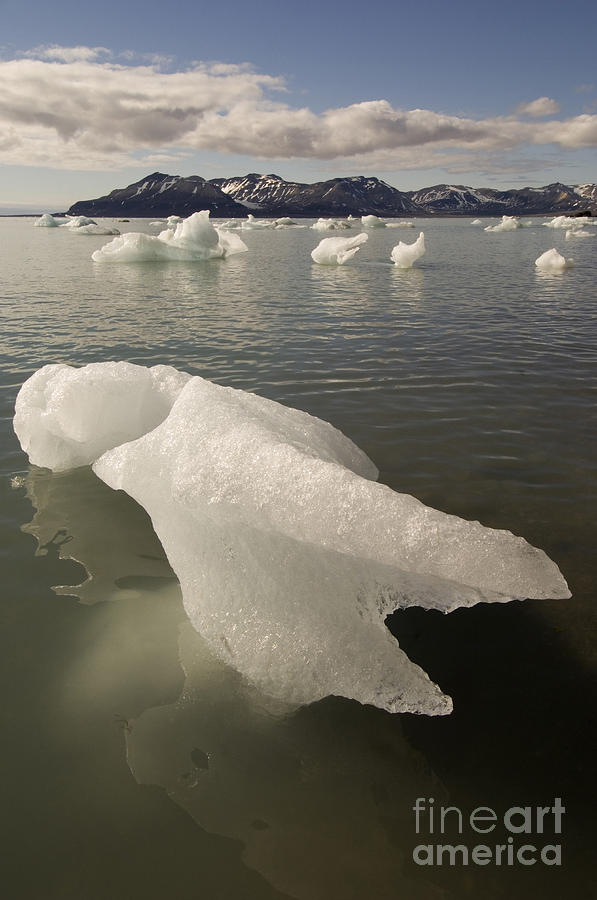 Arctic Ice Floe Photograph by John Shaw