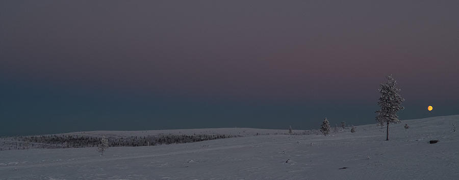 Arctic Moonset Photograph by Pekka Sammallahti