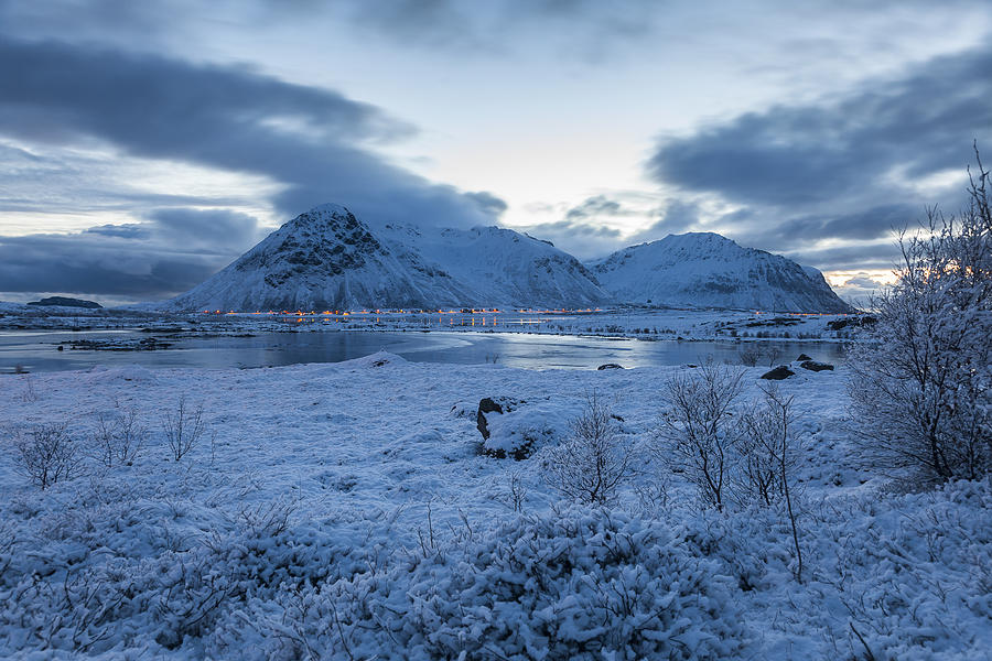 Arctic Morning Photograph by Andy Bitterer