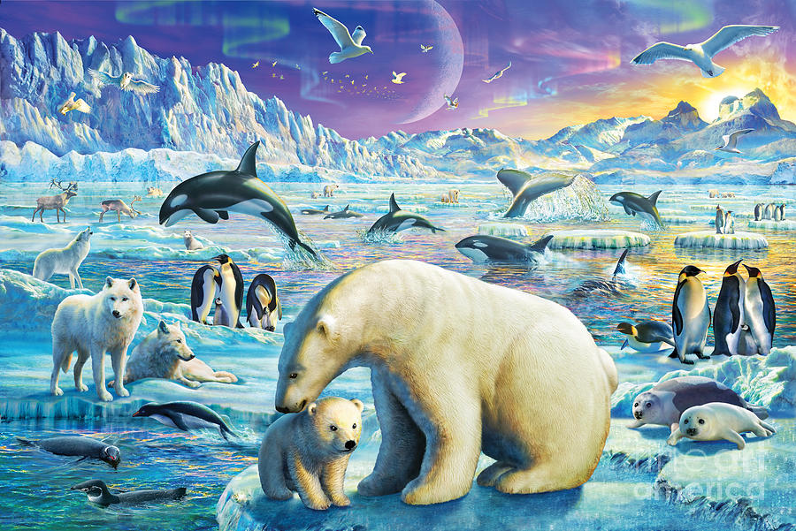 Arctic Night Digital Art by MGL Meiklejohn Graphics Licensing