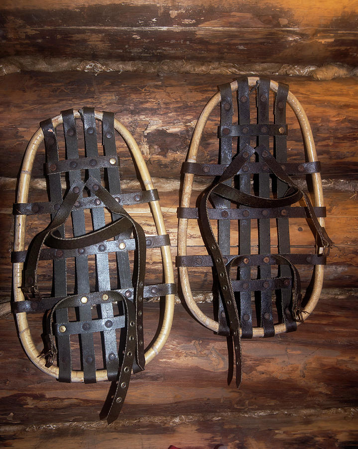Arctic Snowshoes Photograph by Louise Murray