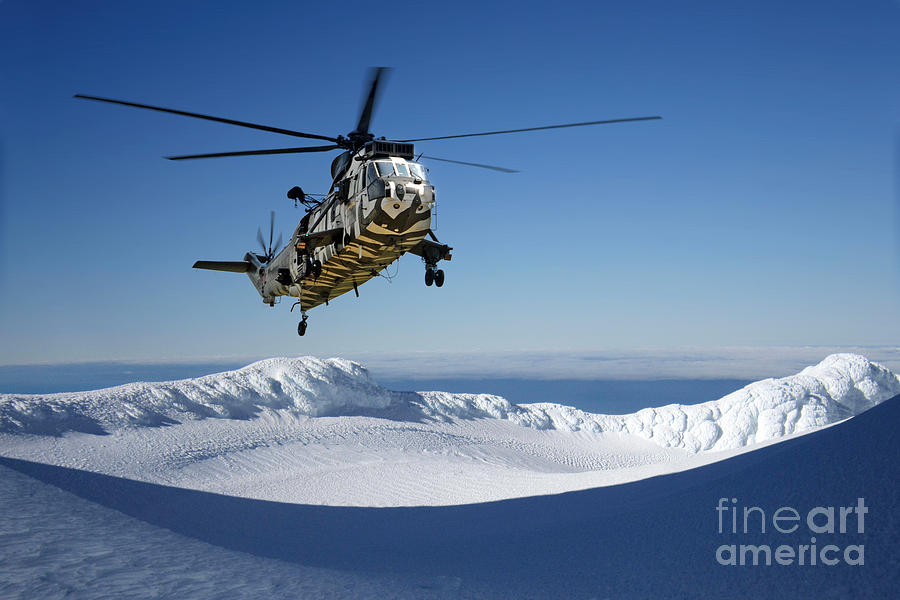Arctic Tiger  Digital Art by Airpower Art
