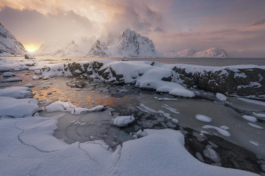Arctic Winter Photograph by David Mart?n Cast?n