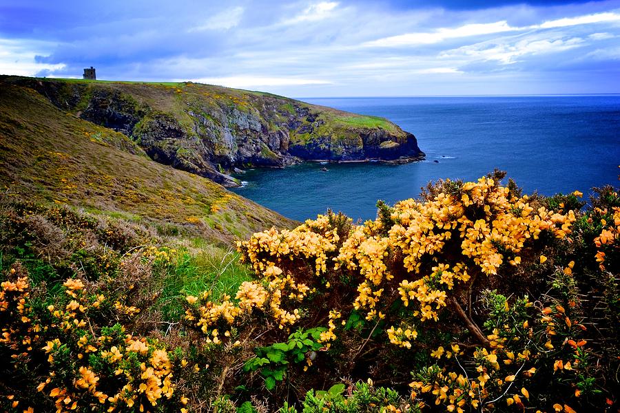 Landscape Photograph - Ardmore Cliff Walk by Gerry O Mahony