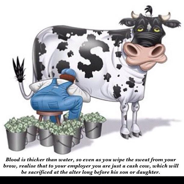 Motivation Photograph - Are You A Cashcow by Nigel Williams