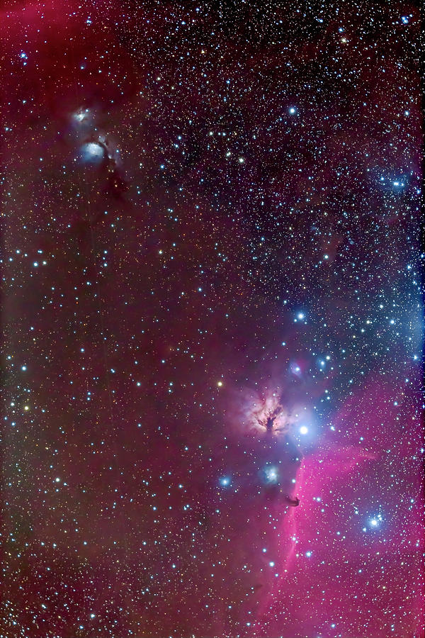 Area Around The Belt Of Orion, With The Photograph by Alan Dyer/stocktrek Images