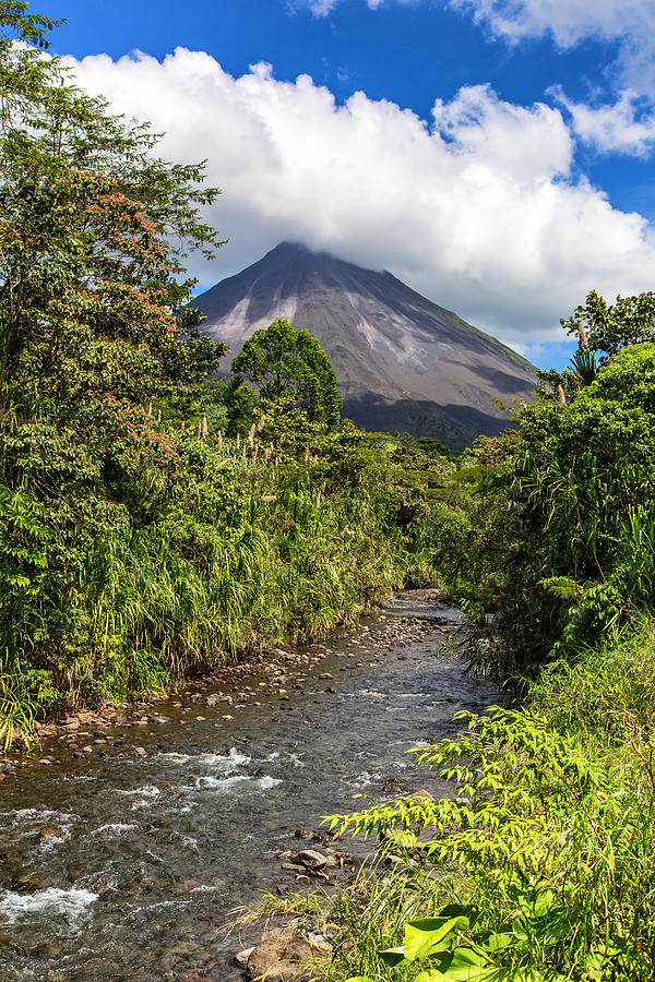 Jungle Photograph - Arenal from the Rio Agua Caliente by Andres Leon