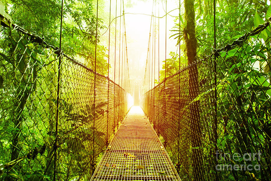 Arenal Hanging Bridges park of Costa Rica Photograph by Anna Om