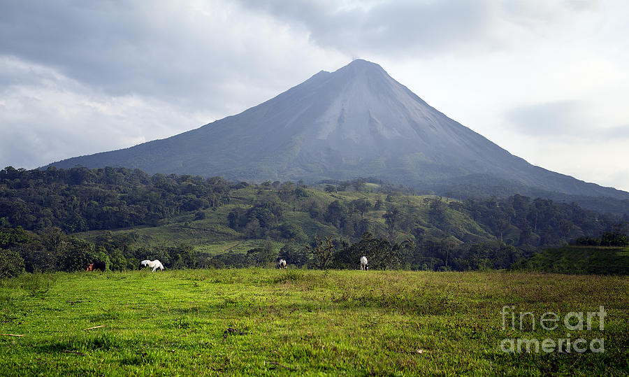 Arenal Volcano Costa Rica Photograph by Carrie Cranwill