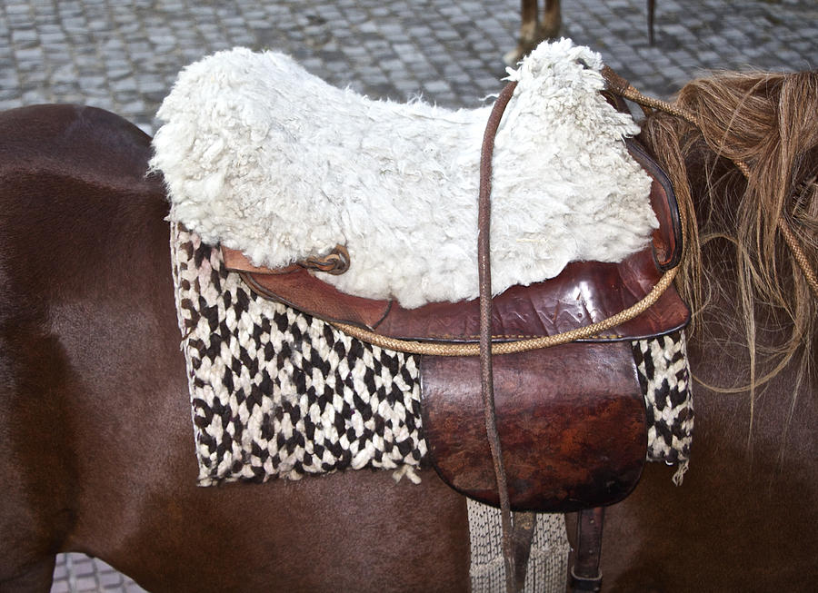 Argentine Gaucho Saddle Photograph by Venetia Featherstone-Witty