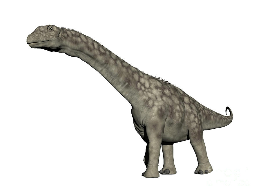 dinosaur with white head