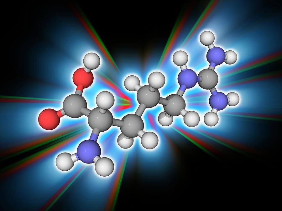 Arginine Organic Compound Molecule Photograph By Laguna Design Science