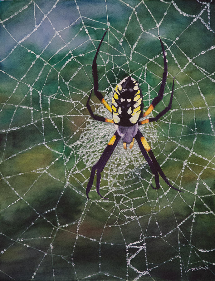 Argiope Web Painting by Christopher Reid
