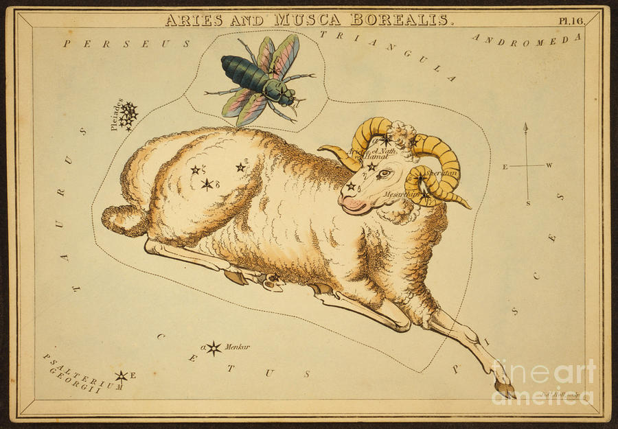 Sign Photograph - Aries Constellation Zodiac Sign 1825 by Science Source