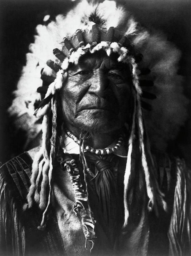 Arikara Chief, 1908 Photograph by Granger