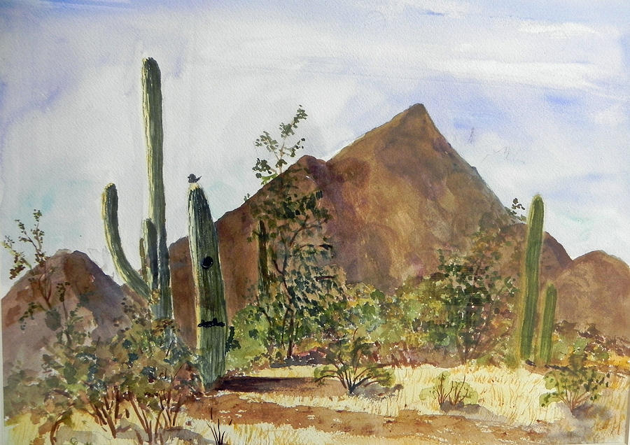 Arizona - Pinal County Park Painting by Christine Lathrop
