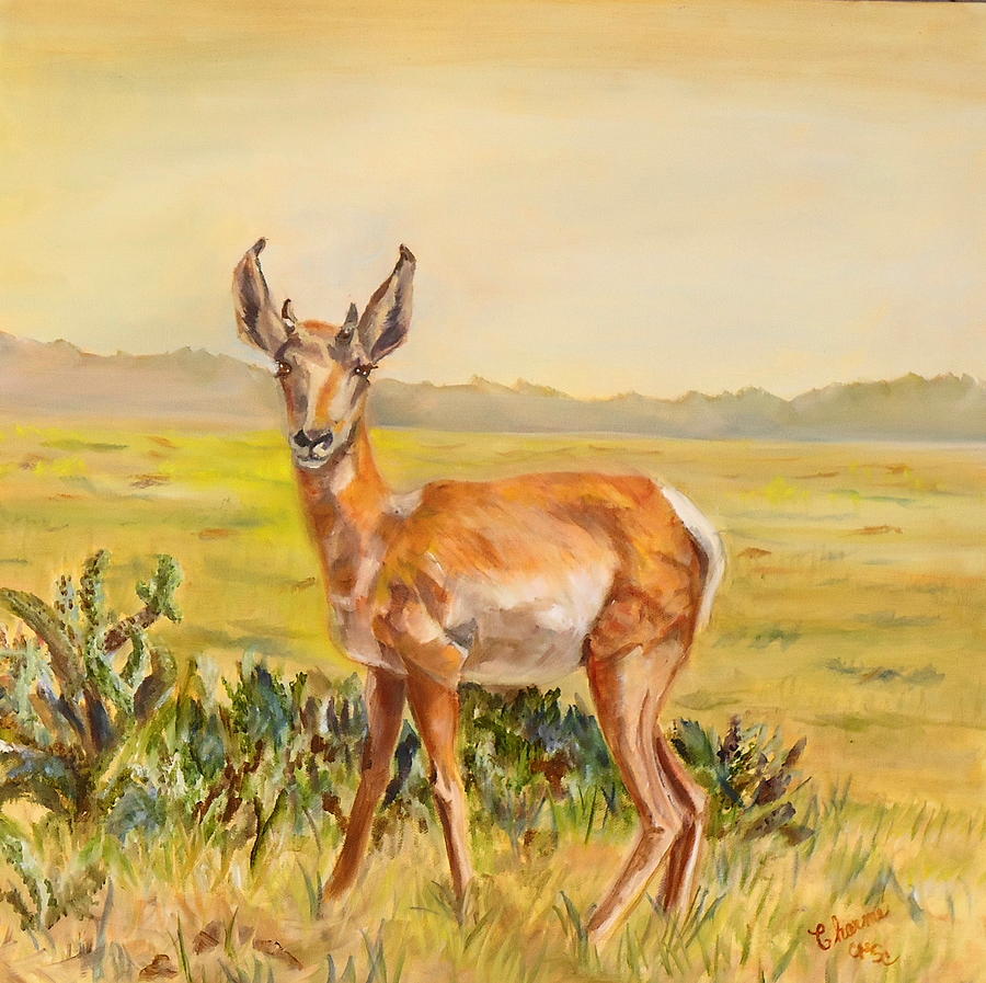 Arizona Sonora Desert Pronghorn Painting by Charme Curtin