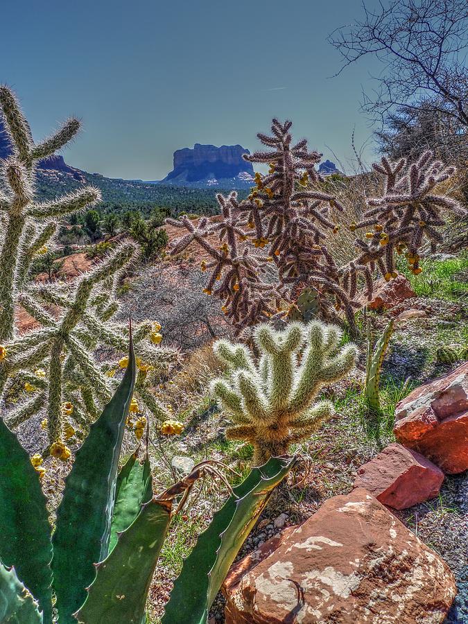 Nature Photograph - Arizona Bell Rock Valley n16 by John Straton