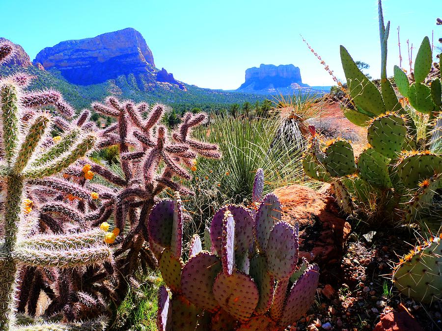 Arizona Bell Rock Valley n4 Photograph by John Straton - Fine Art America