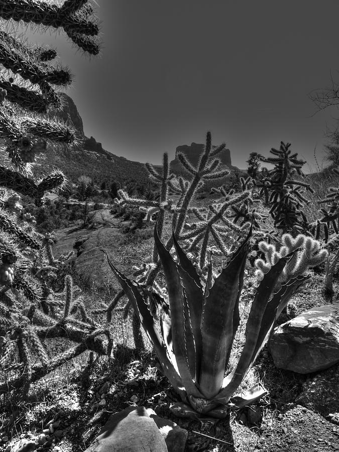 Arizona Bell Rock Valley n9 Photograph by John Straton - Fine Art America