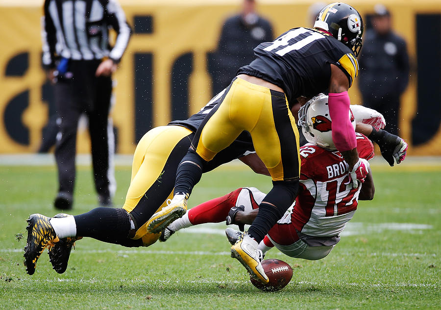 Arizona Cardinals v Pittsburgh Steelers Photograph by Gregory Shamus