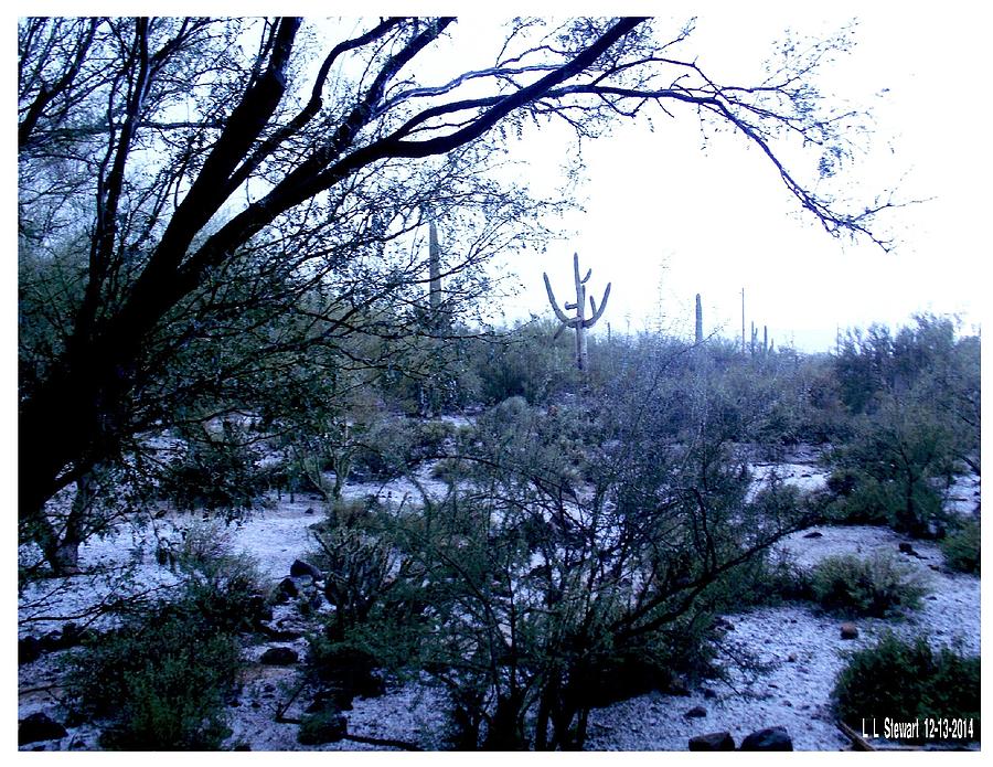 Arizona Cold Photograph by L L Stewart