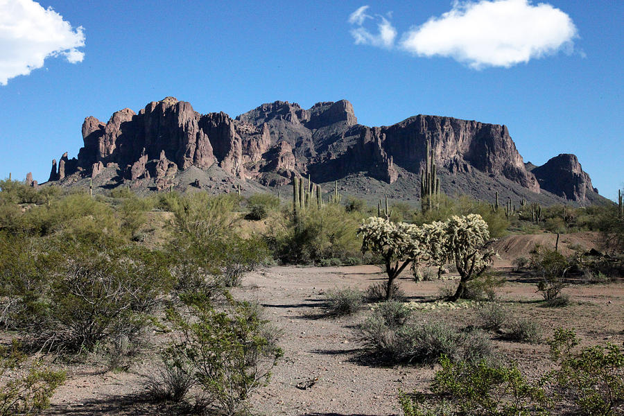 Arizona Desert Photograph by Gary Gunderson