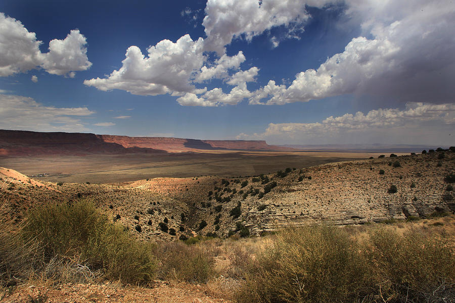 Arizona Desert Photograph by Joseph G Holland
