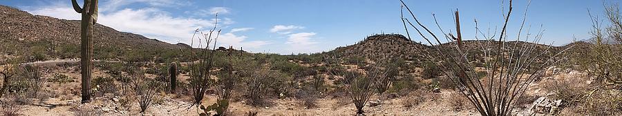 Arizona Desert Panorama Photograph by Joe Kozlowski