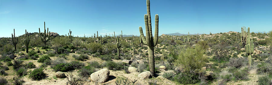 Nature Photograph - Arizona Desert, Panorama by Shan Shui