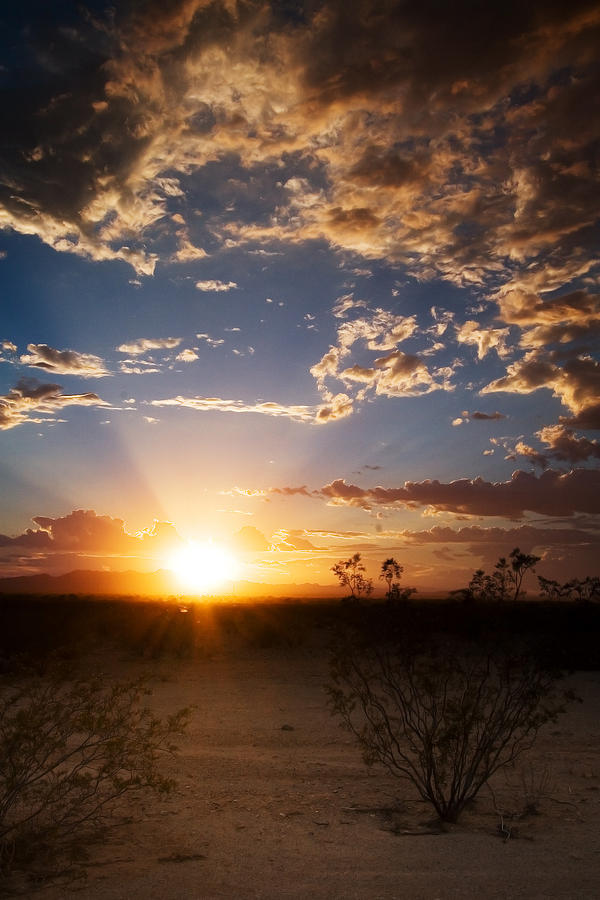 Arizona Desert Sunset Photograph by Brad Brizek