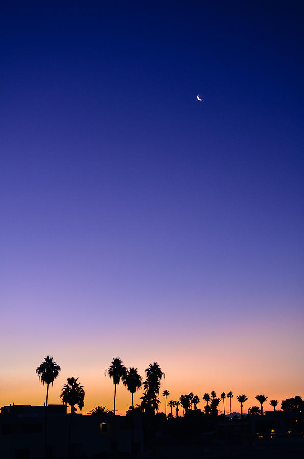 Arizona Dreaming Photograph by Dalie Jimenez - Fine Art America