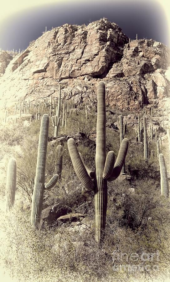 Arizona Dry Cliff Photograph by Henry Kowalski