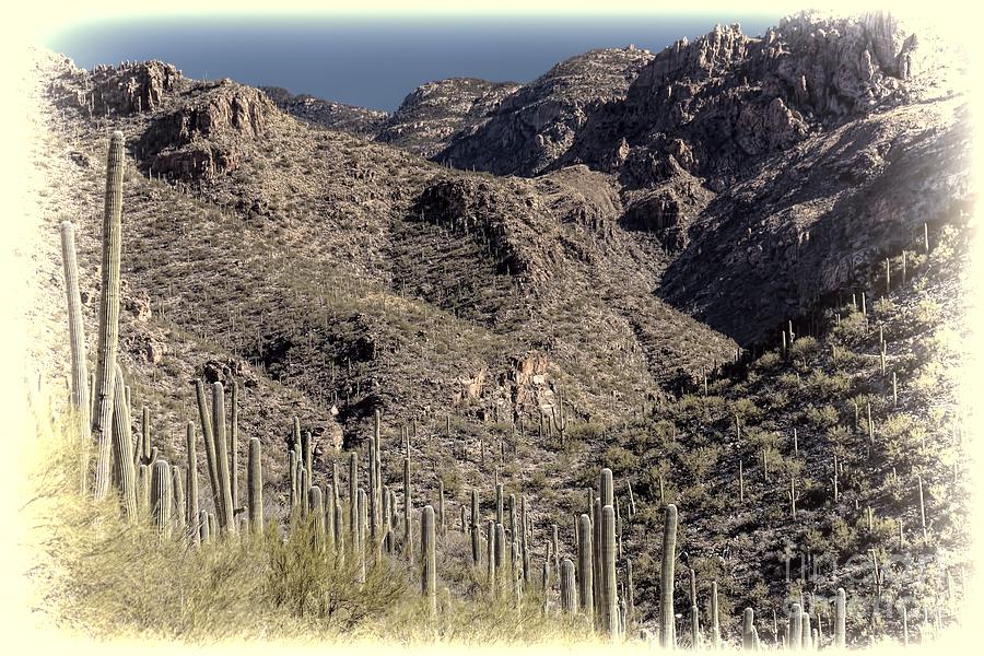 Arizona Dry Mountains Photograph by Henry Kowalski